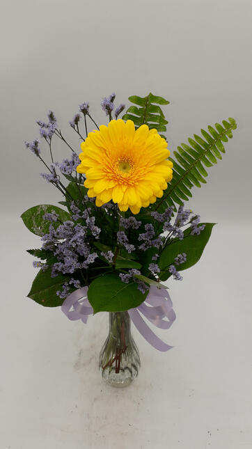 Gerba Daisy – Yellow & Purple