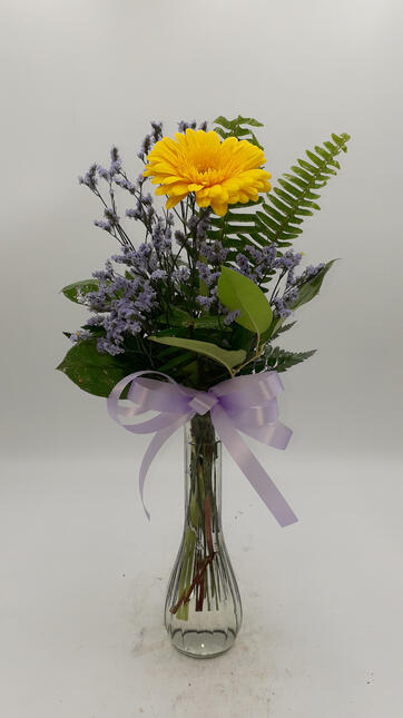 Gerba Daisy – Yellow &amp; Purple